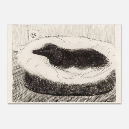 Dog Etching No. 5 by David Hockney, canvas print showing dark-coated dog resting on a cushioned seat in etched black-and-white lines.