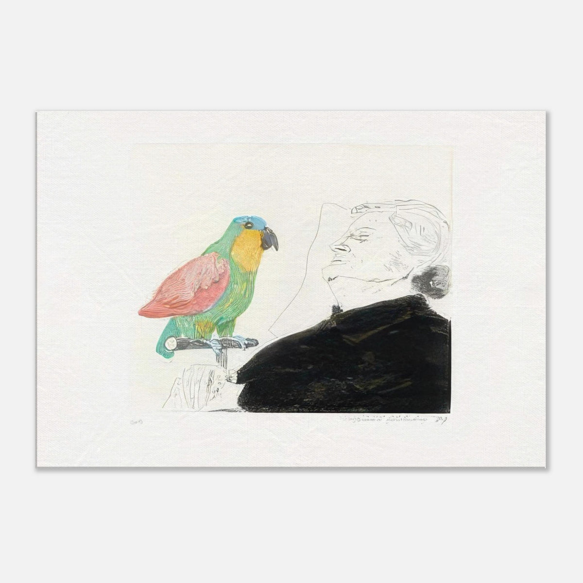 David Hockney canvas print of Felicite Sleeping, With Parrot, depicting a sleeping woman with a brightly coloured parrot perched on her hand.