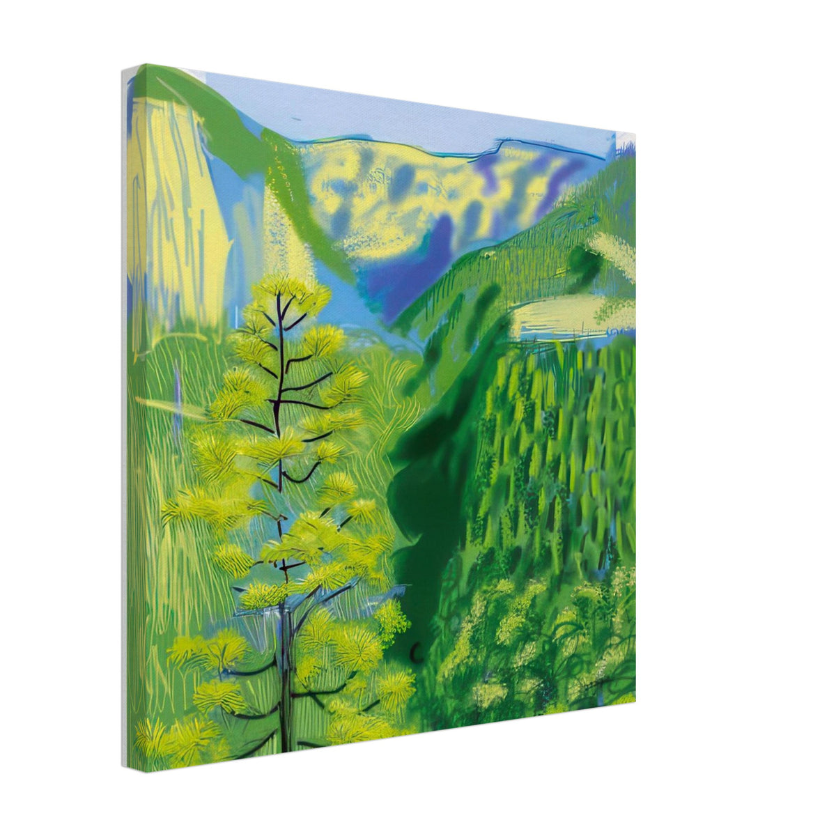 David Hockney, The Yosemite Suite, Yosemite mountains and lush green forests, canvas print, 40 × 50 cm (16 × 20 in)