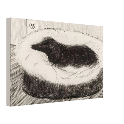 Dog Etching No. 5 by David Hockney, canvas print showing dark-coated dog resting on a cushioned seat in etched black-and-white lines, 70 × 100 cm (28 × 40 in).