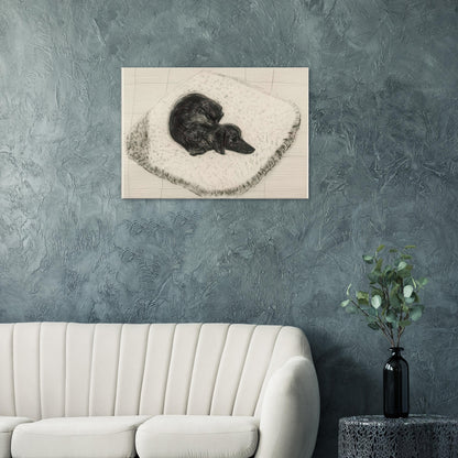 Dog Etching No. 12 by David Hockney, canvas print showing a dark-coated dog curled up on a textured cushion in etched black-and-white lines.
