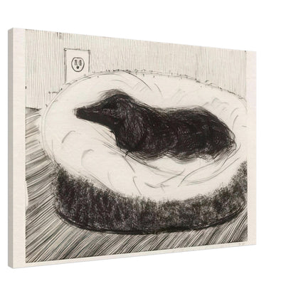 Dog Etching No. 5 by David Hockney, canvas print showing dark-coated dog resting on a cushioned seat in etched black-and-white lines, 30 × 45 cm (12 × 18 in).