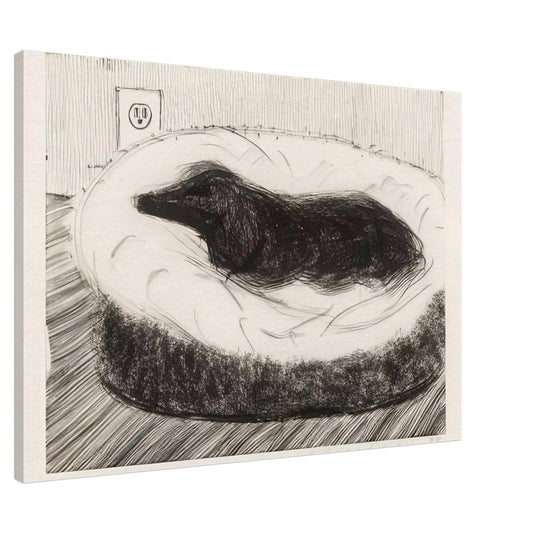 Dog Etching No. 5 by David Hockney, canvas print showing dark-coated dog resting on a cushioned seat in etched black-and-white lines, 30 × 45 cm (12 × 18 in).