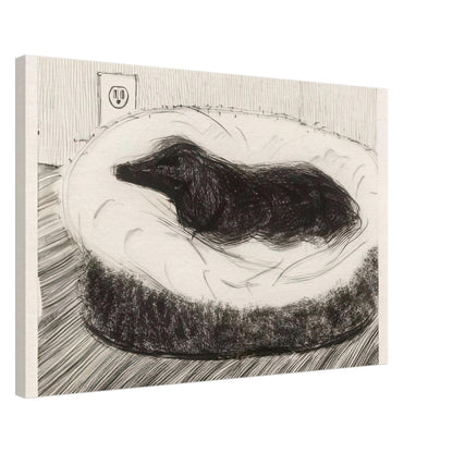 Dog Etching No. 5 by David Hockney, canvas print showing dark-coated dog resting on a cushioned seat in etched black-and-white lines, 50 × 75 cm (20 × 30 in).